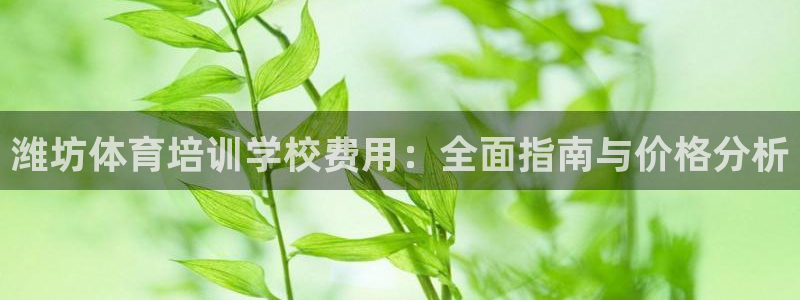 欧陆娱乐计划预测软件下载：潍坊体育培训学校费用：全面