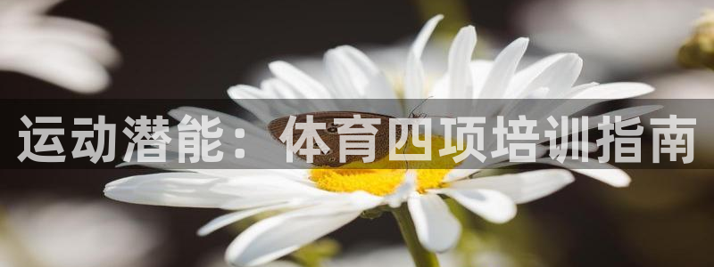 欧陆软件官网：运动潜能：体育四项培训指南